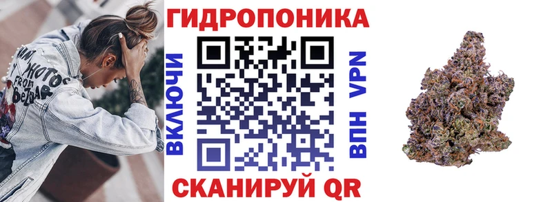 Где купить наркоту Городец ГЕРОИН  Гашиш  МАРИХУАНА  Alpha PVP 