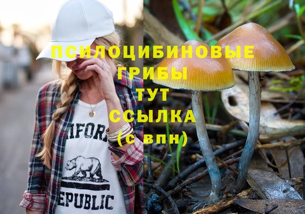 хмурый Балабаново