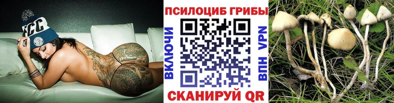 Псилоцибиновые грибы мицелий  наркошоп  Городец 